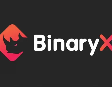 BinaryX Price